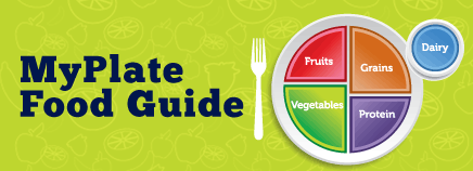  Food Guide